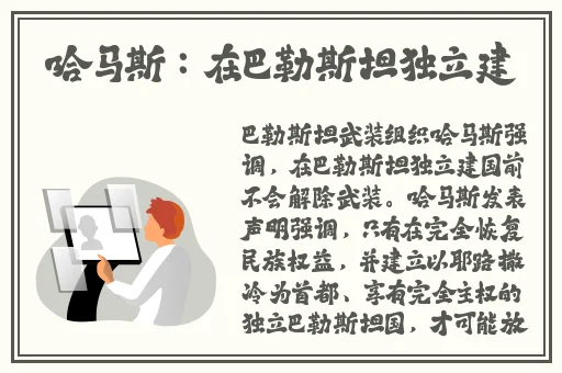 久久精品国产99国产精2020丨